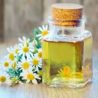 DAISY /CAMOMILE/ MARGURITE OIL