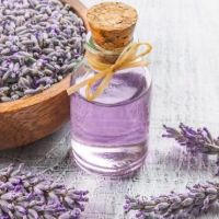 LAVENDER OIL