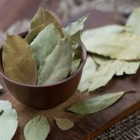 BAY LEAF / LAUREL LEAF