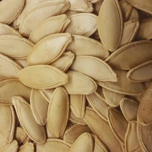 PUMPKIN SEEDS