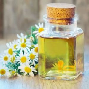 DAISY /CAMOMILE/ MARGURITE OIL