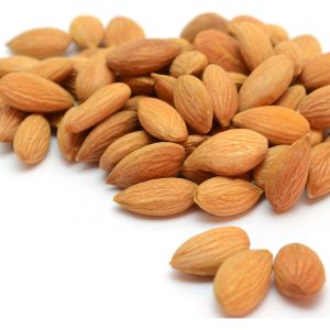 APRICOT SEED / APRICOT KERNEL